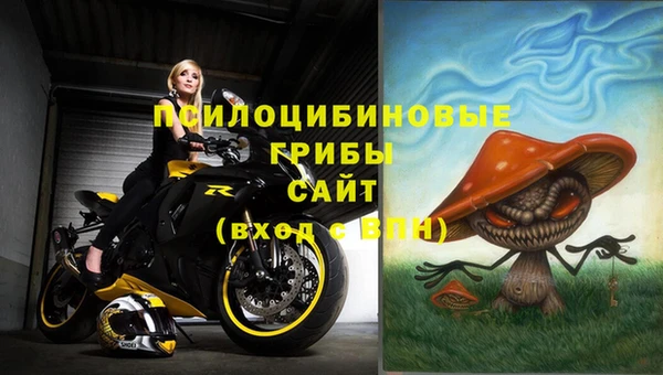 меф Снежногорск