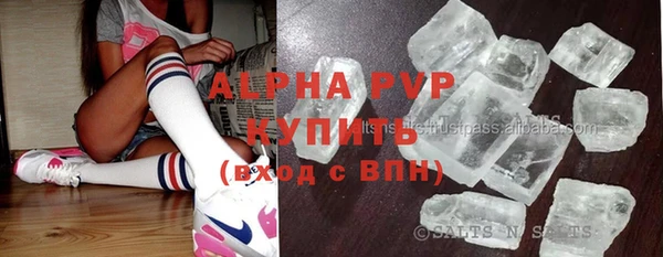 крисы Алексин
