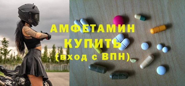 шишки Гвардейск