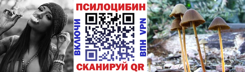 Галлюциногенные грибы MAGIC MUSHROOMS  продажа наркотиков  Алупка 